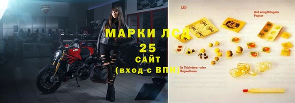 ГАЛЛЮЦИНОГЕННЫЕ ГРИБЫ Вяземский
