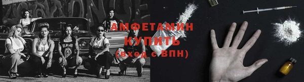 гидра Горняк