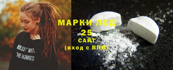 ГАЛЛЮЦИНОГЕННЫЕ ГРИБЫ Вяземский