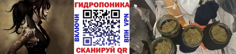 где купить наркоту  Шахты  Шишки марихуана марихуана 